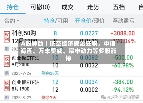 A股异动丨低空经济概念狂飙	，中信海直、万丰奥威	、宗申动力等多股涨停-第2张图片