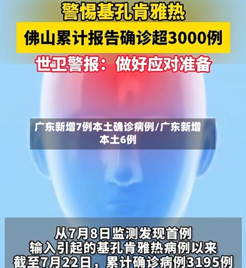 广东新增7例本土确诊病例/广东新增本土6例