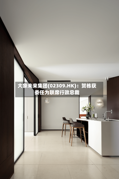 大象未来集团(02309.HK)：贺栋获委任为联席行政总裁