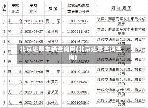 北京违章车辆查询网(北京违章查询查询)-第2张图片