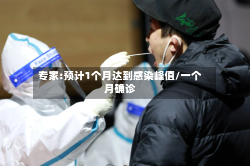 专家:预计1个月达到感染峰值/一个月确诊-第2张图片