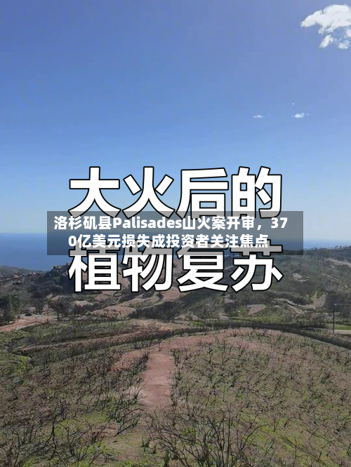 洛杉矶县Palisades山火案开审，370亿美元损失成投资者关注焦点-第2张图片