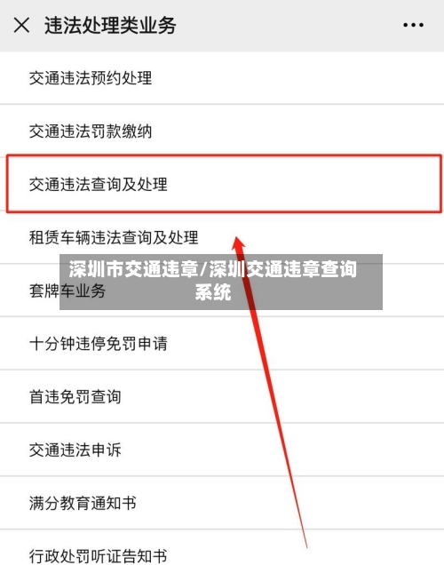 深圳市交通违章/深圳交通违章查询系统