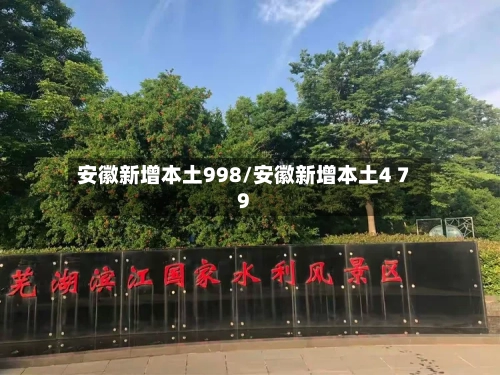安徽新增本土998/安徽新增本土4 79