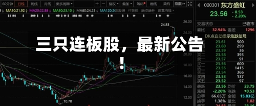 三只连板股，最新公告！-第2张图片