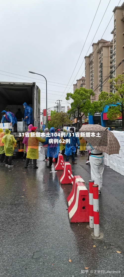 31省新增本土104例/31省新增本土病例62例-第2张图片
