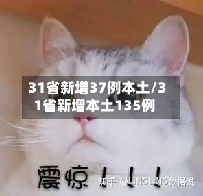 31省新增37例本土/31省新增本土135例