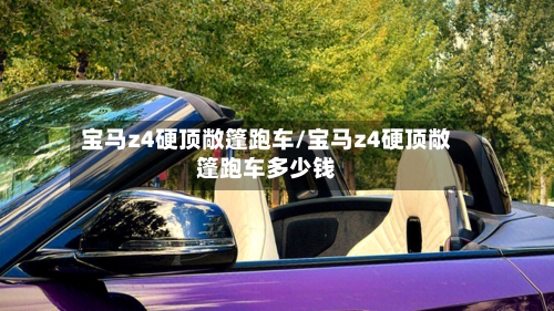 宝马z4硬顶敞篷跑车/宝马z4硬顶敞篷跑车多少钱