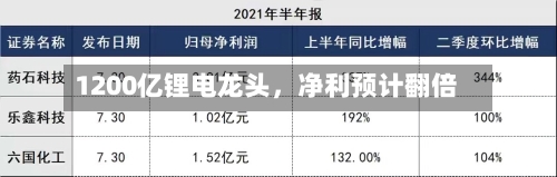 1200亿锂电龙头，净利预计翻倍-第2张图片