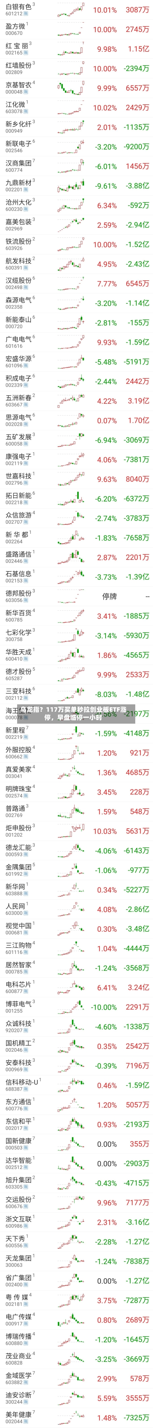 乌龙指？117万买单秒拉创业板ETF涨停，早盘临停一小时-第2张图片
