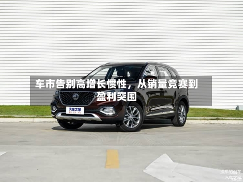 车市告别高增长惯性，从销量竞赛到盈利突围-第3张图片