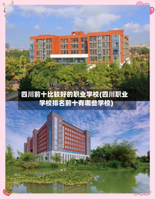 四川前十比较好的职业学校(四川职业学校排名前十有哪些学校)-第2张图片