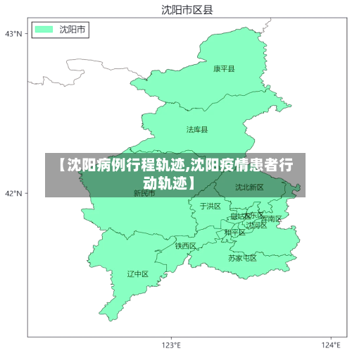 【沈阳病例行程轨迹,沈阳疫情患者行动轨迹】-第3张图片