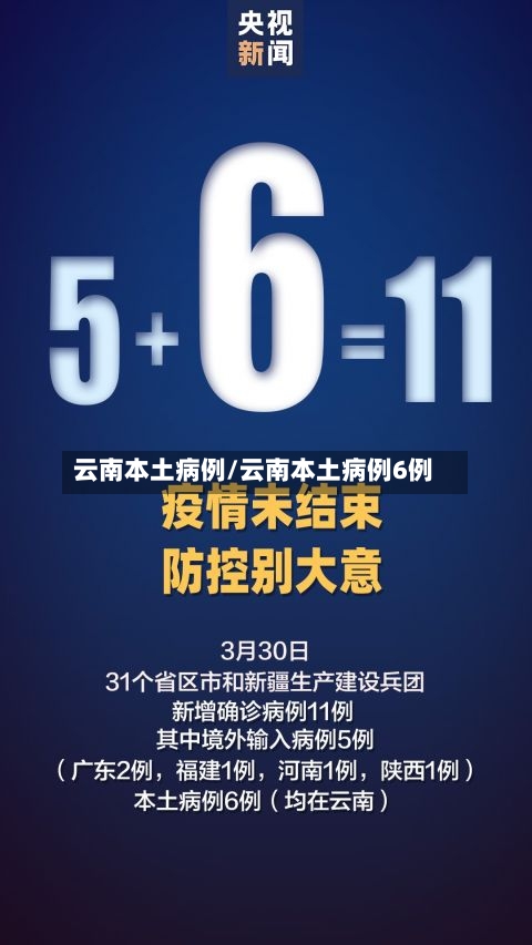 云南本土病例/云南本土病例6例